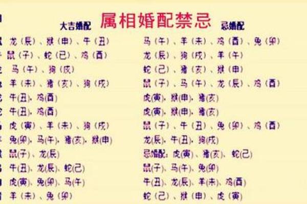 属相婚配：解析不同属相之间的命理关系与幸福之道