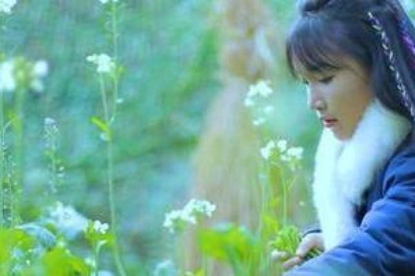 男人菜籽命的深层含义与生活启示