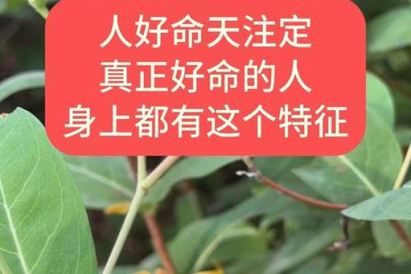 根据出生时辰揭秘：哪些人注定是巨富命？