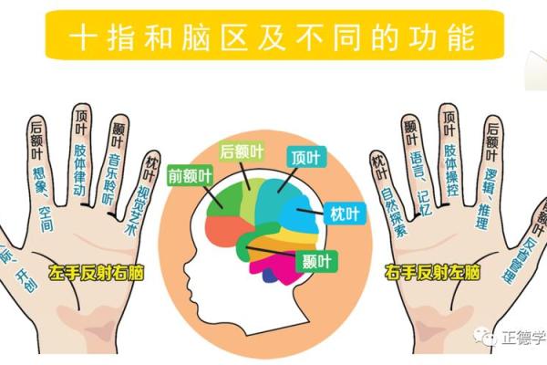 小指特别长：解析这一命相背后隐藏的秘密与性格特征