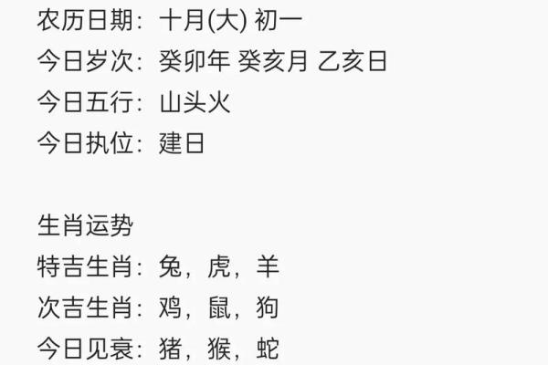 2004年属鸡：命理解析与人生运势