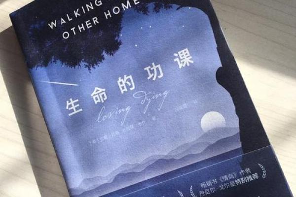 揭开地支命理的神秘面纱，探索人生的秘密与智慧