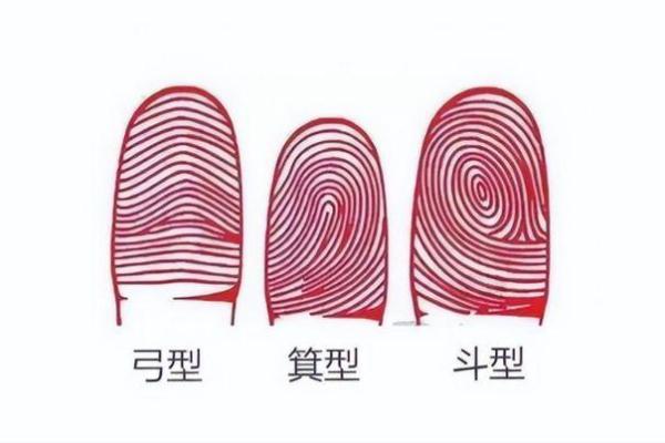 74年什么命男性格分析：揭示命运与性格的奥秘