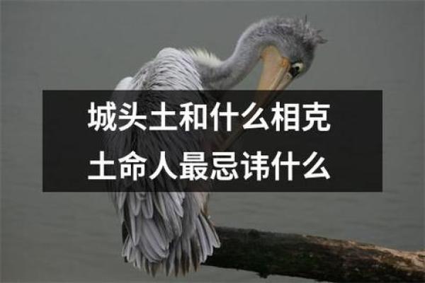 如何通过佩戴饰品改善城墙土命缺水的问题