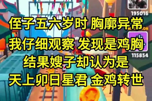 1993年属鸡金命人的命格解析与生活建议