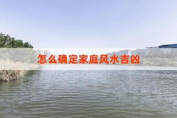 大海命家居布置：如何选取风水物品提升运势