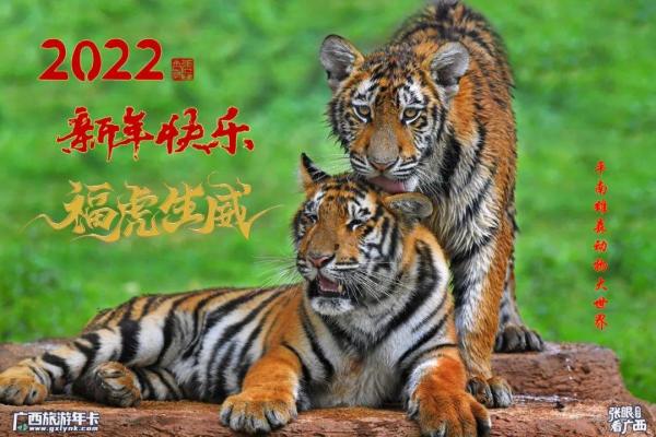 2022年虎年命缺分享，探寻人生的心灵补给之道！
