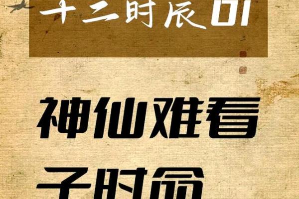 属猪人最佳出生时辰解析：命运与时辰的秘密