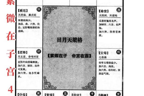 揭示紫薇命盘奥秘：哪些软件能帮你更好理解命理？