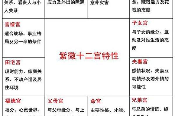 揭示紫薇命盘奥秘：哪些软件能帮你更好理解命理？