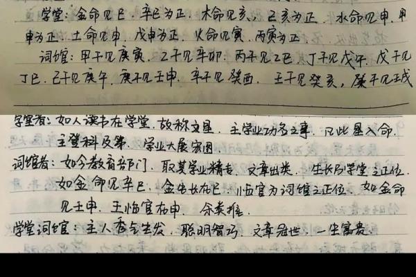 1996年正月22日生人命理解析：命运与性格的奇妙交织