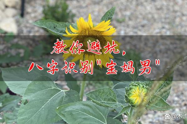 揭示经常得病的命理玄机，脚踏实地才能迎来健康人生
