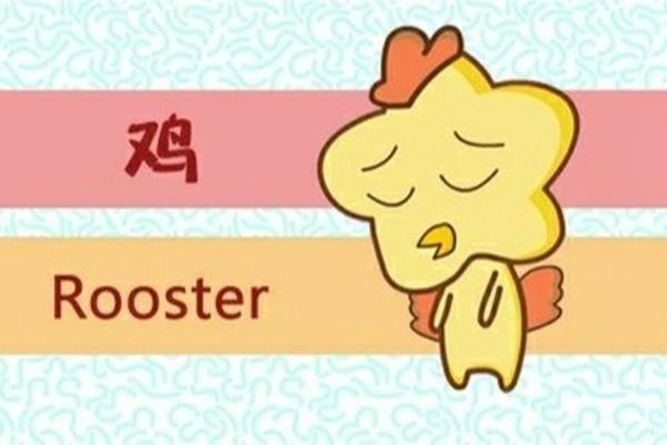 揭秘1969年属鸡人：命运与性格的深度剖析