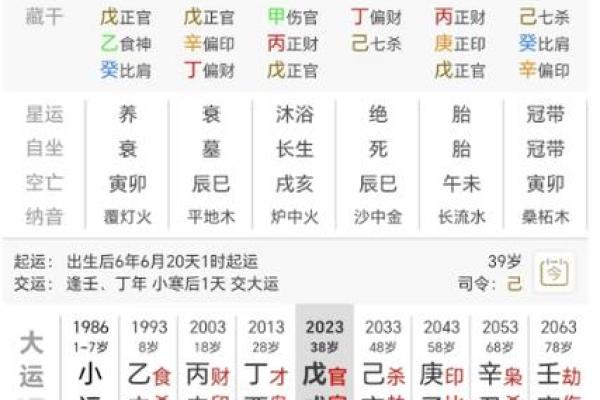 兔年凌晨出生的人命格解析：从五行看人生机遇与挑战