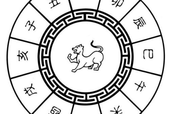 金木水火命与生肖配对的奥秘探寻
