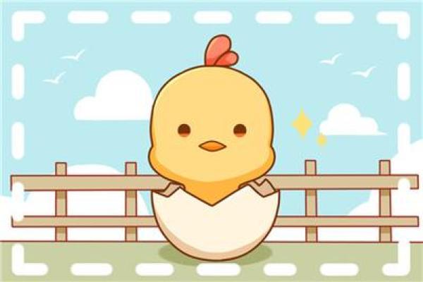 虚岁62岁属什么命？探寻人生的智慧与历程