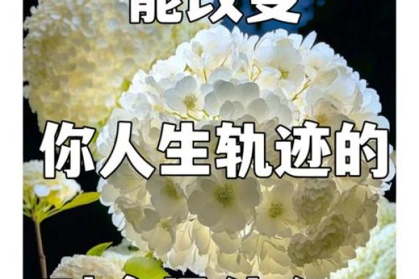 头重脚轻命格女性的独特魅力与人生轨迹