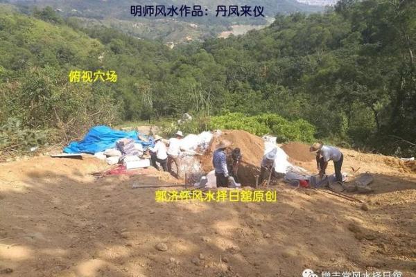 土命的色彩之道：揭示最佳配色方案，打造和谐人生