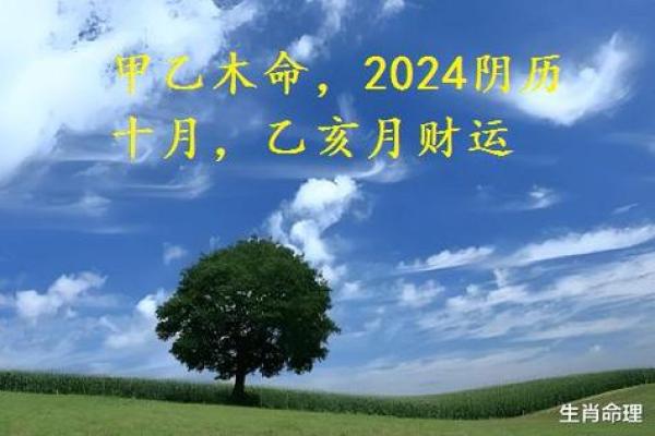 1973年木命人的命理分析与提升建议