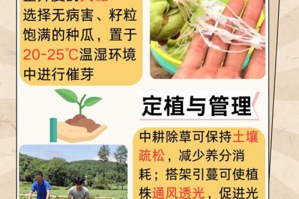 乙亥火命人应该注意什么？五大要点助你事业、感情双丰收！