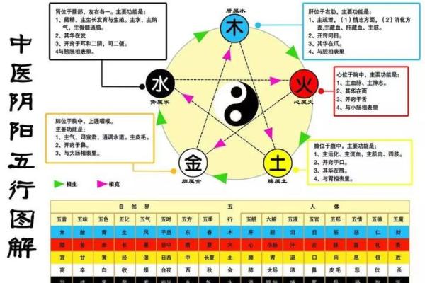水命适用的颜色与五行相生相克的关系探讨