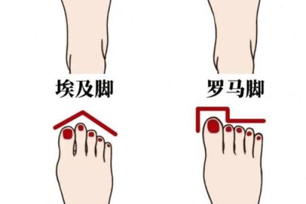 揭秘男孩命运的脚型：从脚型看人生大运