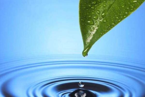 水命之人：生活中应注意的五大要素与智慧