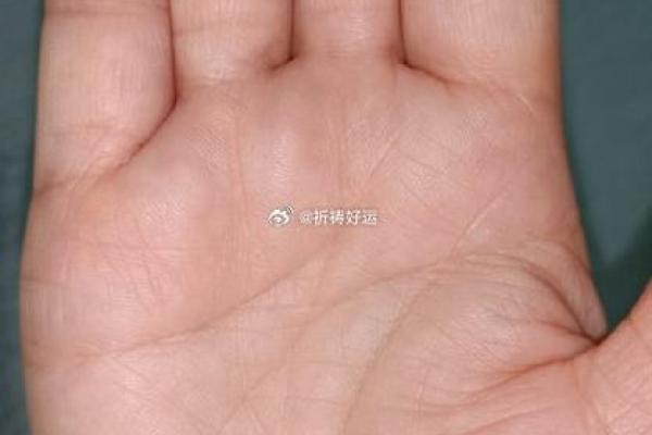 掌握命运之钥：面相揭秘男左女右的奥秘