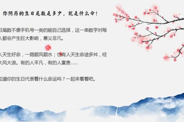 2019年是什么命？揭秘命运背后的深意与感悟