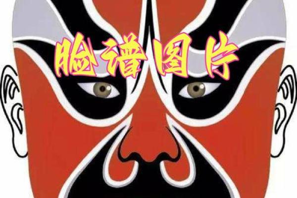 55年出生的人命运与性格特征解析
