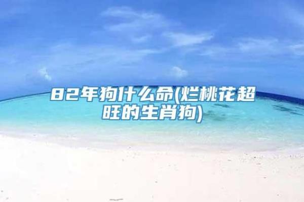 87岁属狗的命理解析：旺盛的生命力与未来的好运气