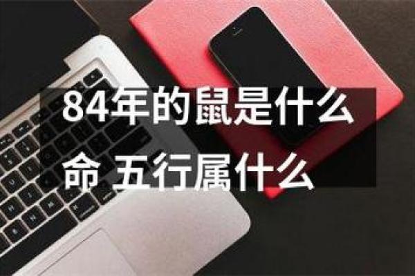 金木水火鼠命解析：你的命格与五行的神秘联系