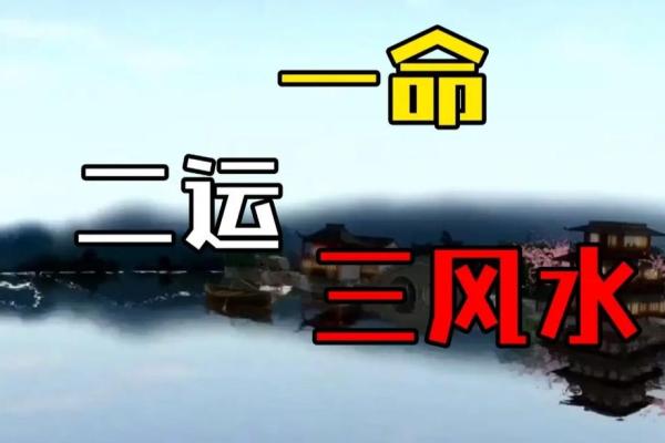 指纹的奥秘与命运的交织：解读人生的独特印记