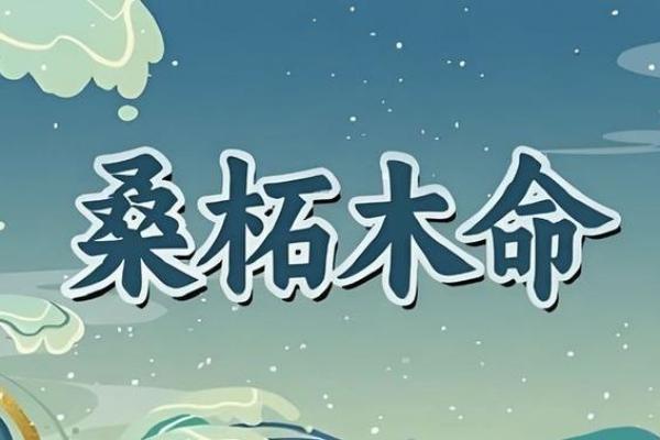柳树木命的人，如何平衡缺失与机遇