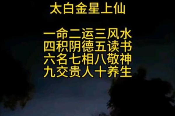 金星入命——解锁你的魅力与幸福之星