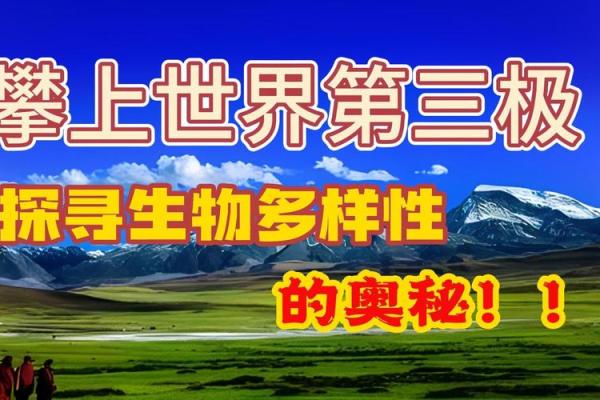 探索地球上最长寿命生物的奥秘与奇迹