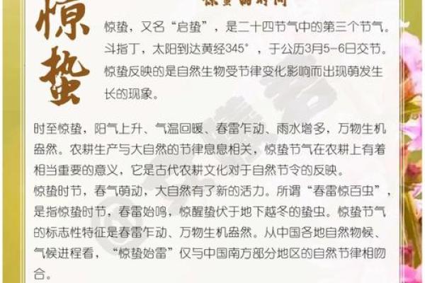 阳气：生命之根本，健康的源泉与智慧的指引