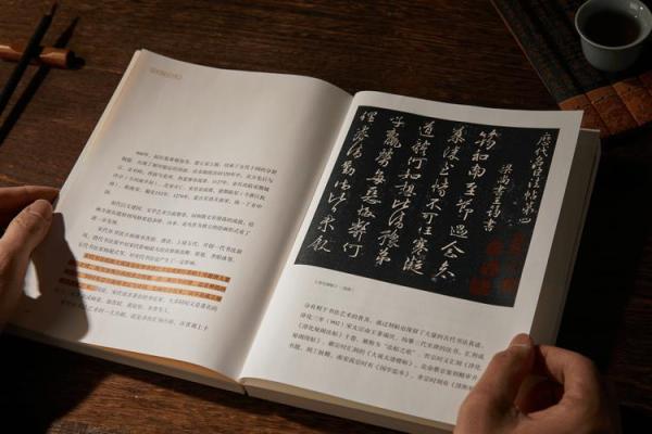 探讨字体的结构与美感：命字的魅力所在