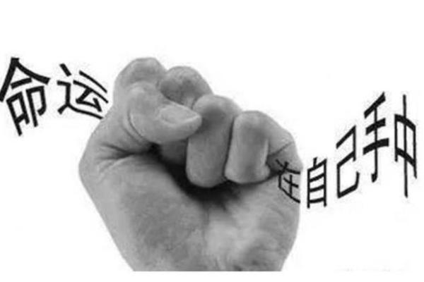 命运由天定：探寻人生的奥秘与价值