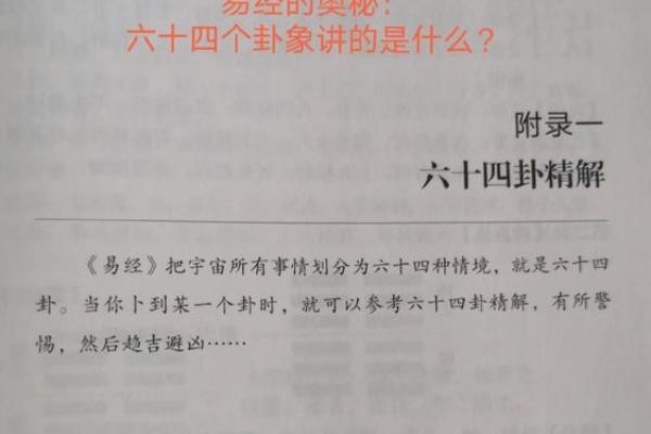庚午己卯庚辰未时，探寻命运的奥秘与人生的方向