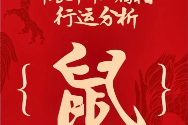 鼠命的人：性格特征与生活运势的全面解析