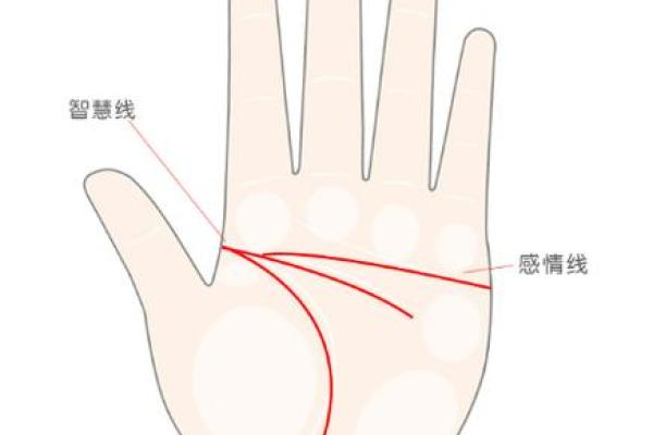 探秘鸡爪掌纹：了解你的命理之路