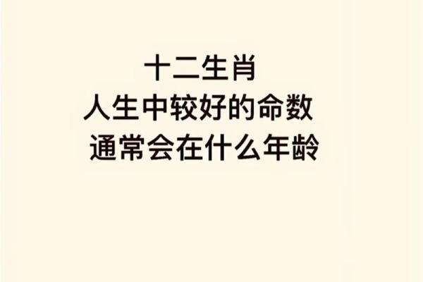 71年属狗人的命运解析：运势、性格与人生指导