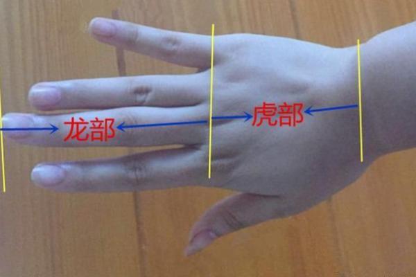 探秘鸡爪掌纹：了解你的命理之路