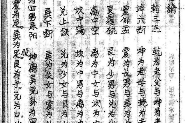 戊申到己酉：揭示命理中的阴阳变化与人生哲学