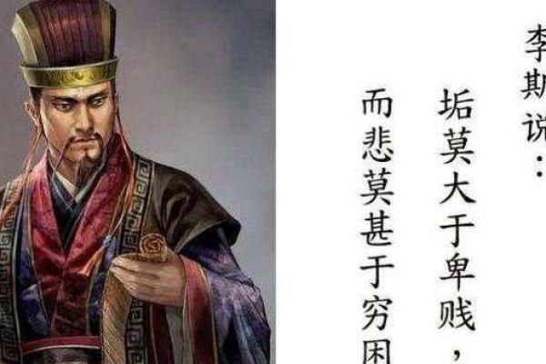 71岁老鼠的命运：探索生命的奥秘与启示