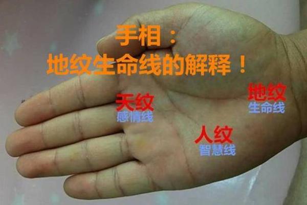 通过手相看命理：揭秘手掌中的命运之谜