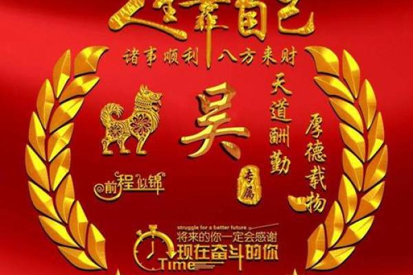 2023年属兔人的命运分析与生活指导