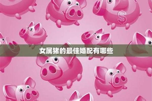 探索2007年属猪的命理与运势：揭示人生的无限可能