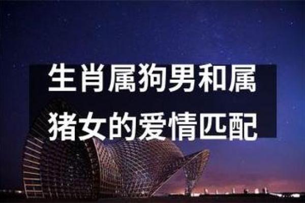 2019年属狗与属猪的命运分析：如何更好地规划未来生活！
